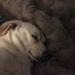 Meet your Posher, Kay